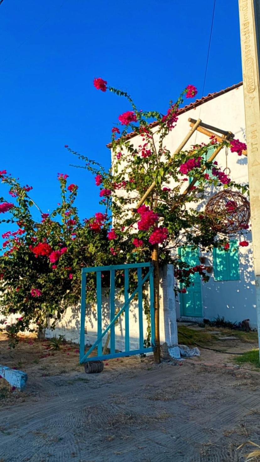 Pousada Casa Verde Canoa Quebrada Exteriér fotografie